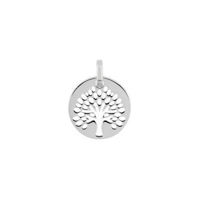 Pendentif en argent rhodié