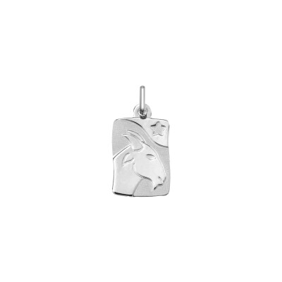 Pendentif zodiaque Capricorne en argent rhodié