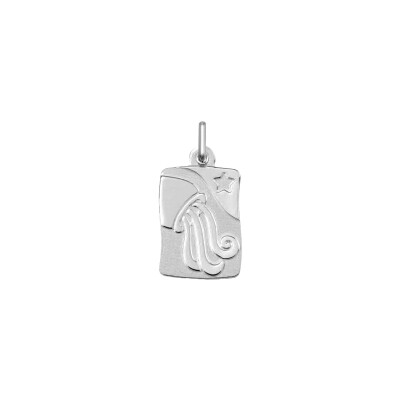 Pendentif zodiaque Verseau en argent rhodié