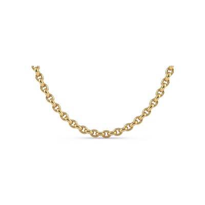 Collier Ti Sento en argent doré