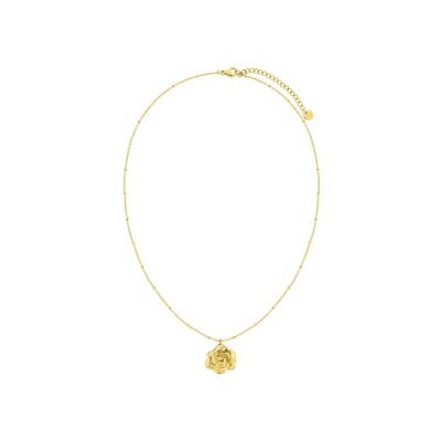 Collier en acier doré