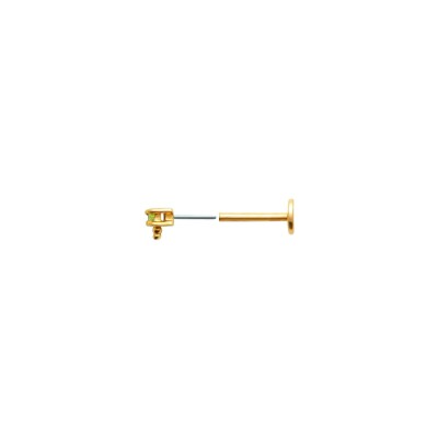 Piercing belOReil en plaqué or et oxyde de zirconium