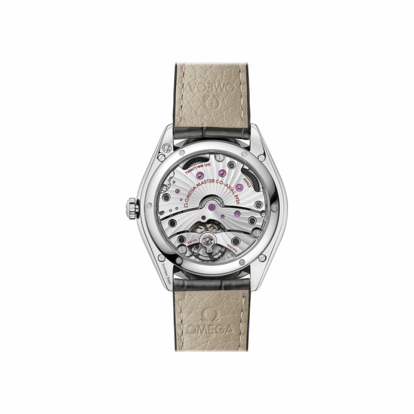 OMEGA De Ville Trésor Co-axial Master Chronometer Small Seconds 40mm watch