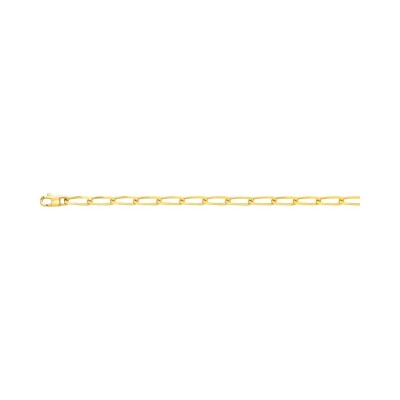 Chaîne cheval en or jaune, 50cm