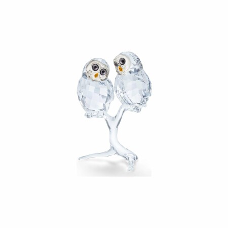 Figurine Swarovski Feathered Beauties Couple de Chouettes en cristaux Swarovski