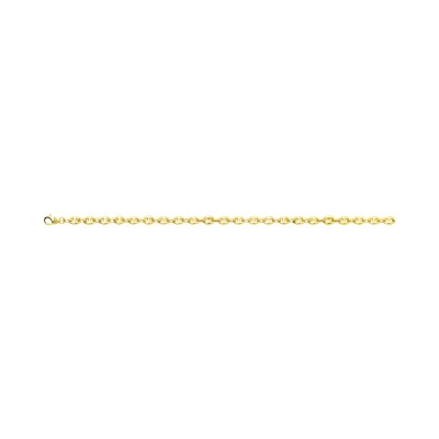 Chaîne marine en or jaune, 50cm