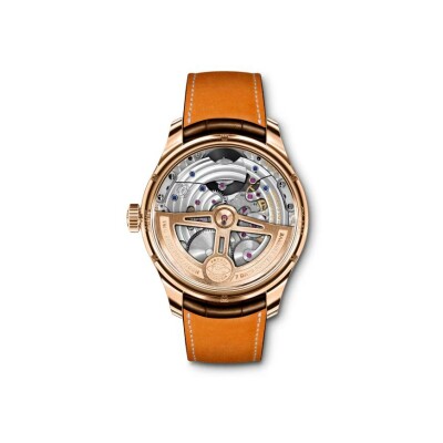 Montre IWC Schaffhausen Portugieser Tourbillon Mystère Rétrograde