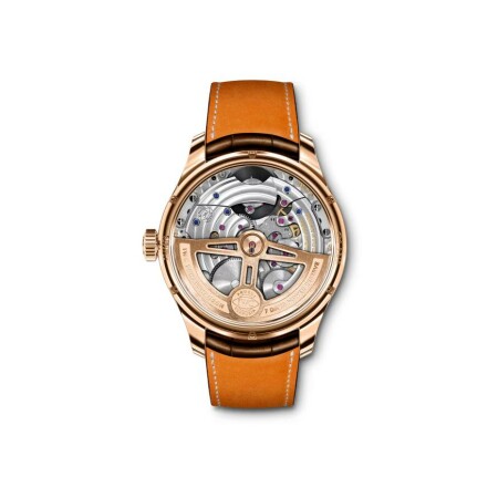 IWC Schaffhausen Portugieser Tourbillon Mystère Rétrograde watch