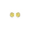 Clous d'oreilles Swarovski Harmonia en métal rhodié et cristaux