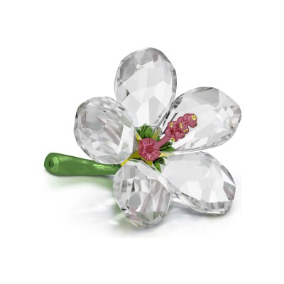 Décoration Swarovski gema Florere Hibiscus en cristaux Swarovski, petit modèle