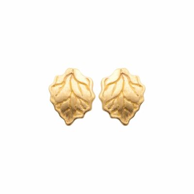 Boucles d'oreilles en plaqué or