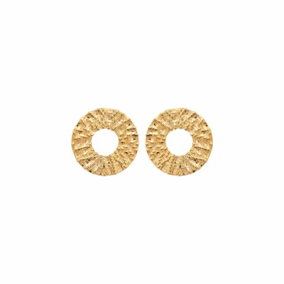 Boucles d'oreilles en plaqué or