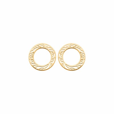 Boucles d'oreilles en plaqué or