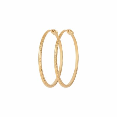 Boucles d'oreilles créoles en plaqué or