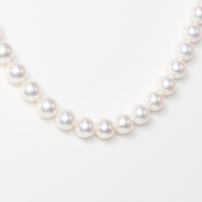 Collier or blanc & perles Akoya  