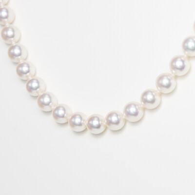 Collier or blanc & perles Akoya  