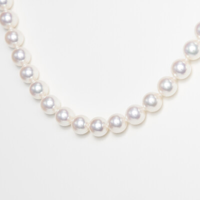 Collier or blanc & perles Akoya 