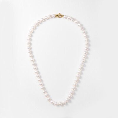 Collier or jaune & perles Akoya 