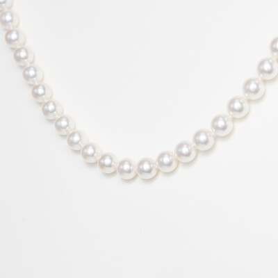 Collier or blanc & perles Akoya 
