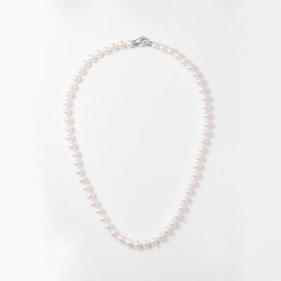 Collier or blanc & perles Akoya 