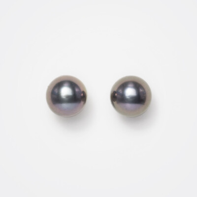 Puces d'oreilles or jaune & perles Tahiti