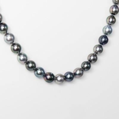Collier or blanc & perles Tahiti 