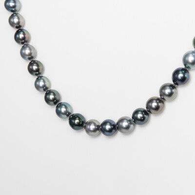 Collier or blanc & perles Tahiti 