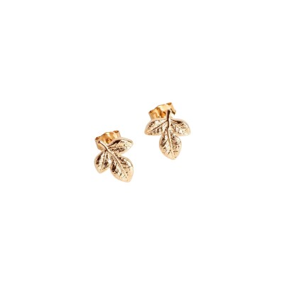 Puces d'oreilles en plaqué or
