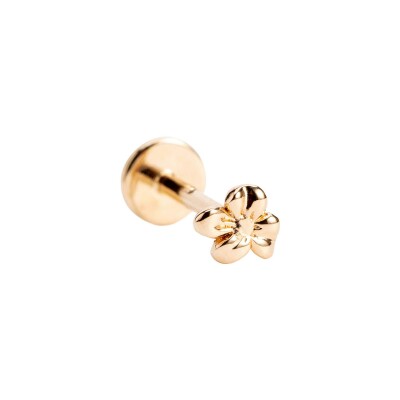 Piercing Ana & Cha Romane en plaqué or