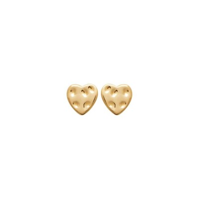 Boucles d'oreilles en plaqué or