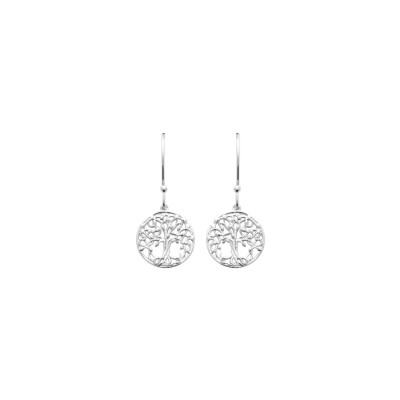 Boucles d'oreille pendantes en argent 