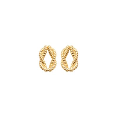 Boucles d'oreilles en plaqué or 