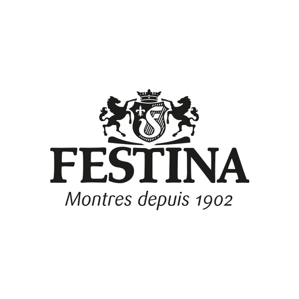 Achat Montre Festina Timeless chronograph F20542/1