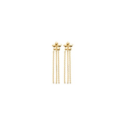 Boucles d'oreille pendantes en plaqué or