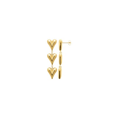 Boucles d'oreilles en acier et pvd