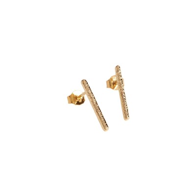 Puces d'oreilles en plaqué or