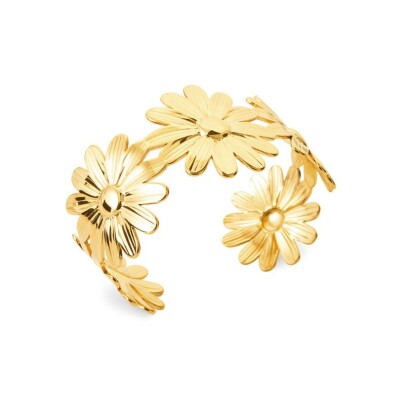 Bracelet jonc en acier et pvd