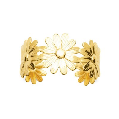 Bracelet jonc en acier et pvd