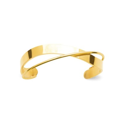 Bracelet jonc en acier et pvd