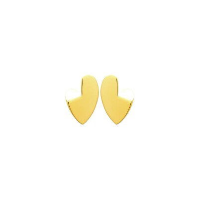 Boucles d'oreilles en acier pvd doré