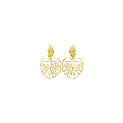 Boucles d'oreilles en acier pvd doré