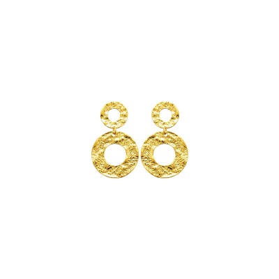 Boucles d'oreilles en acier pvd doré