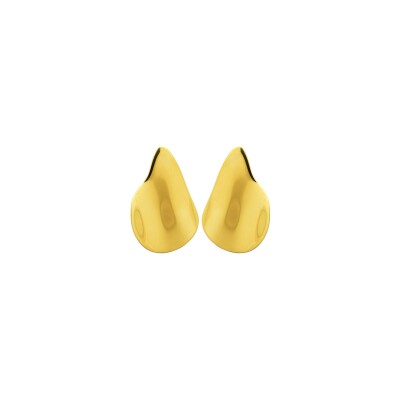 Boucles d'oreilles en acier pvd doré