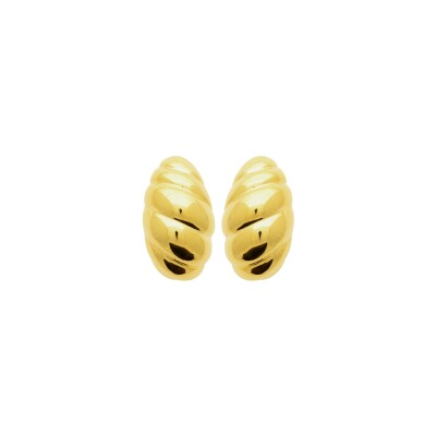 Boucles d'oreilles en acier pvd doré