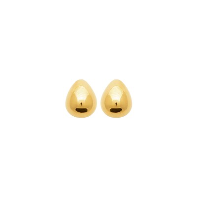 Boucles d'oreilles en acier pvd doré