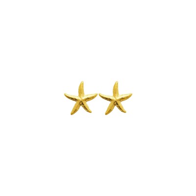 Boucles d'oreilles en acier pvd doré