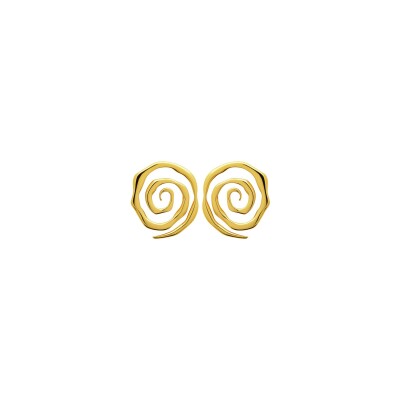 Boucles d'oreilles en acier pvd doré
