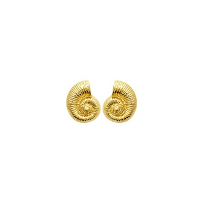 Boucles d'oreilles en acier pvd doré