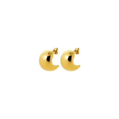 Boucles d'oreilles en acier pvd doré