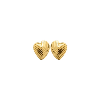 Boucles d'oreilles en acier pvd doré